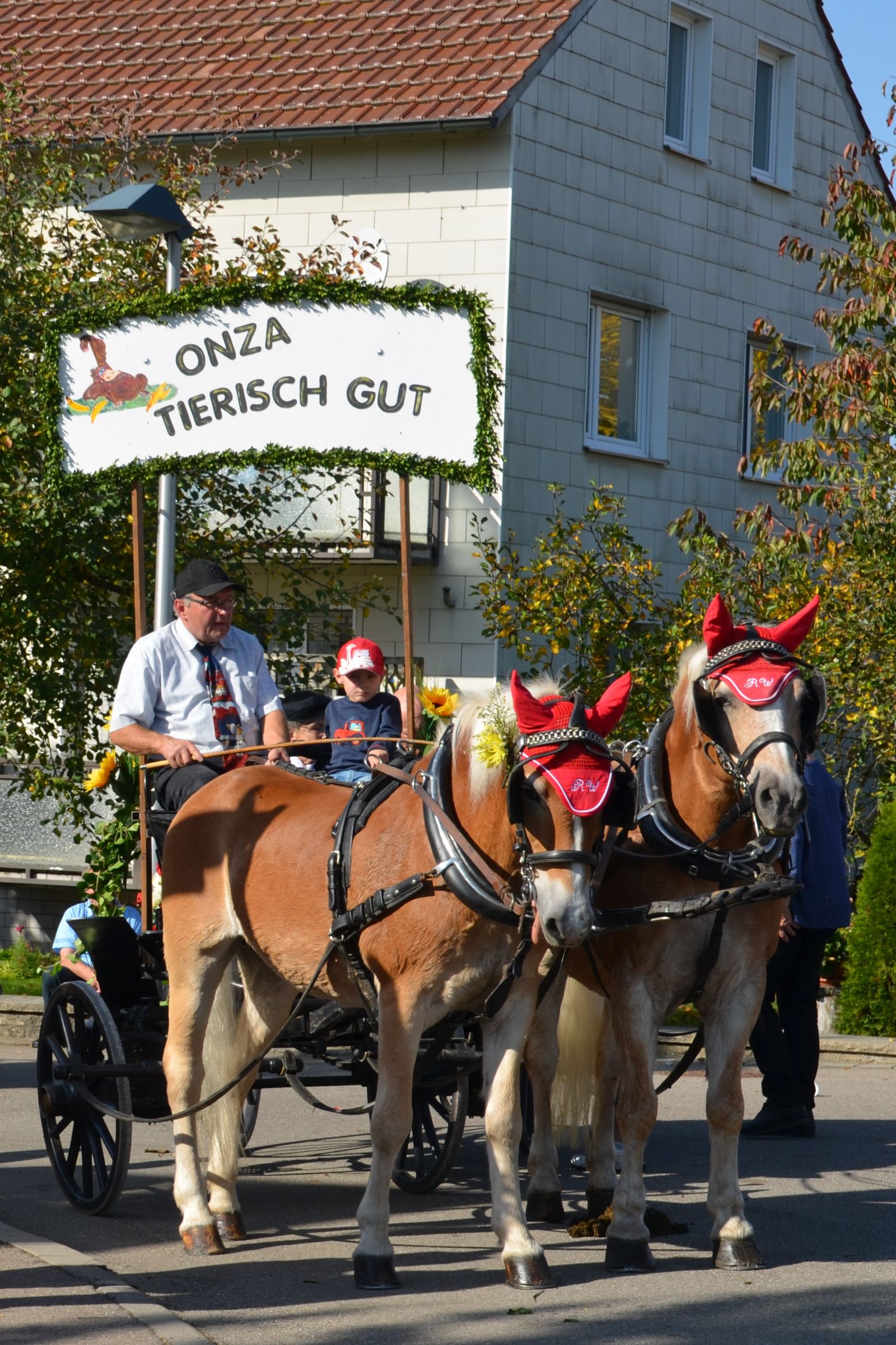 Foto vom Onolzheimer Hammeltanz 2017 – Festzug