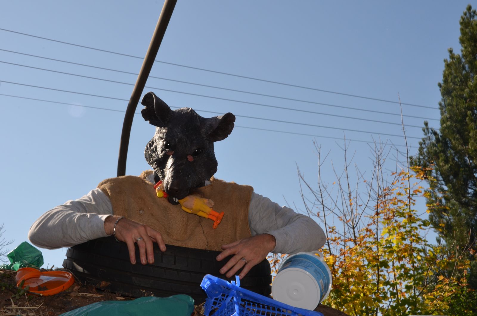 Foto vom Onolzheimer Hammeltanz 2017 – Festzug