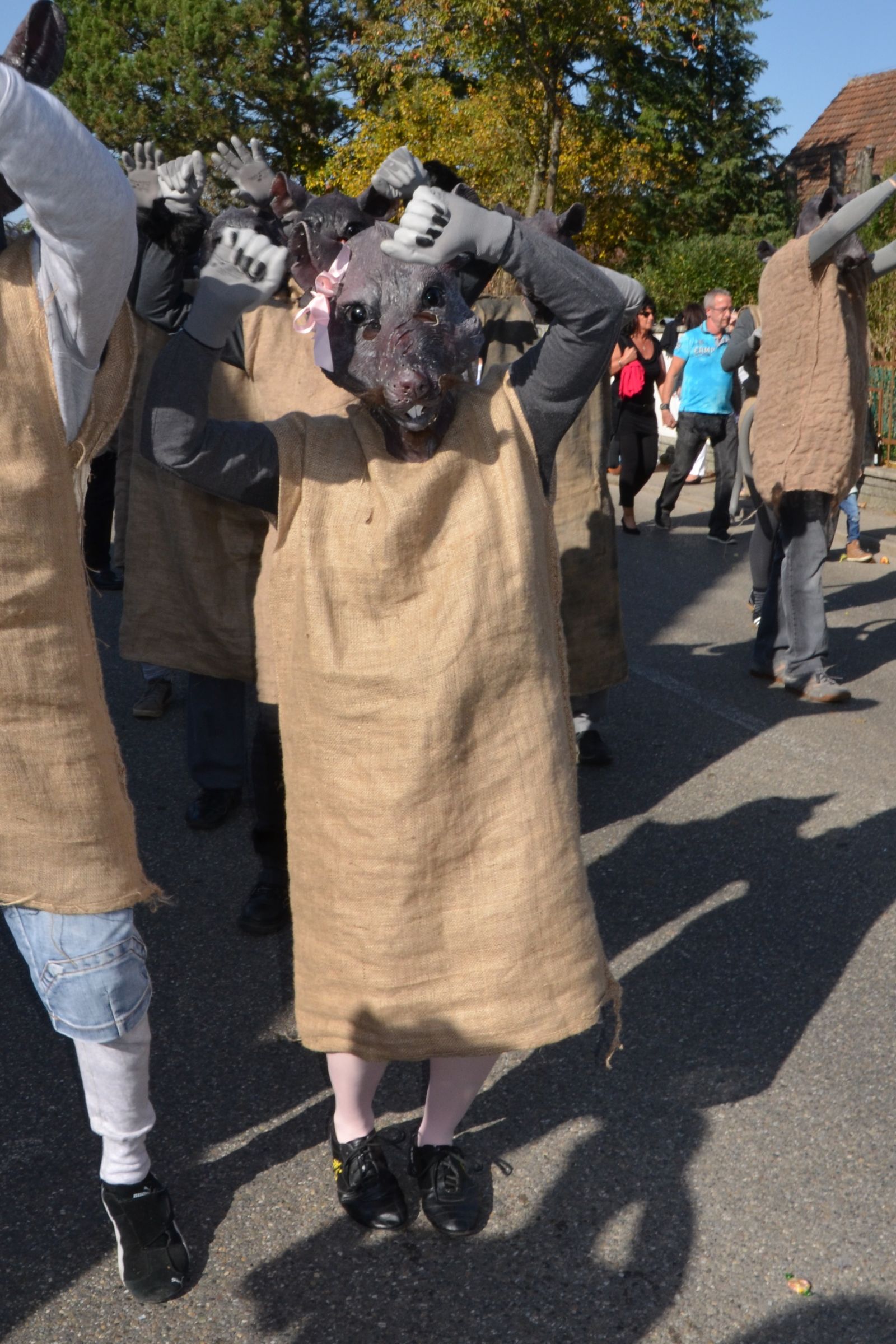 Foto vom Onolzheimer Hammeltanz 2017 – Festzug