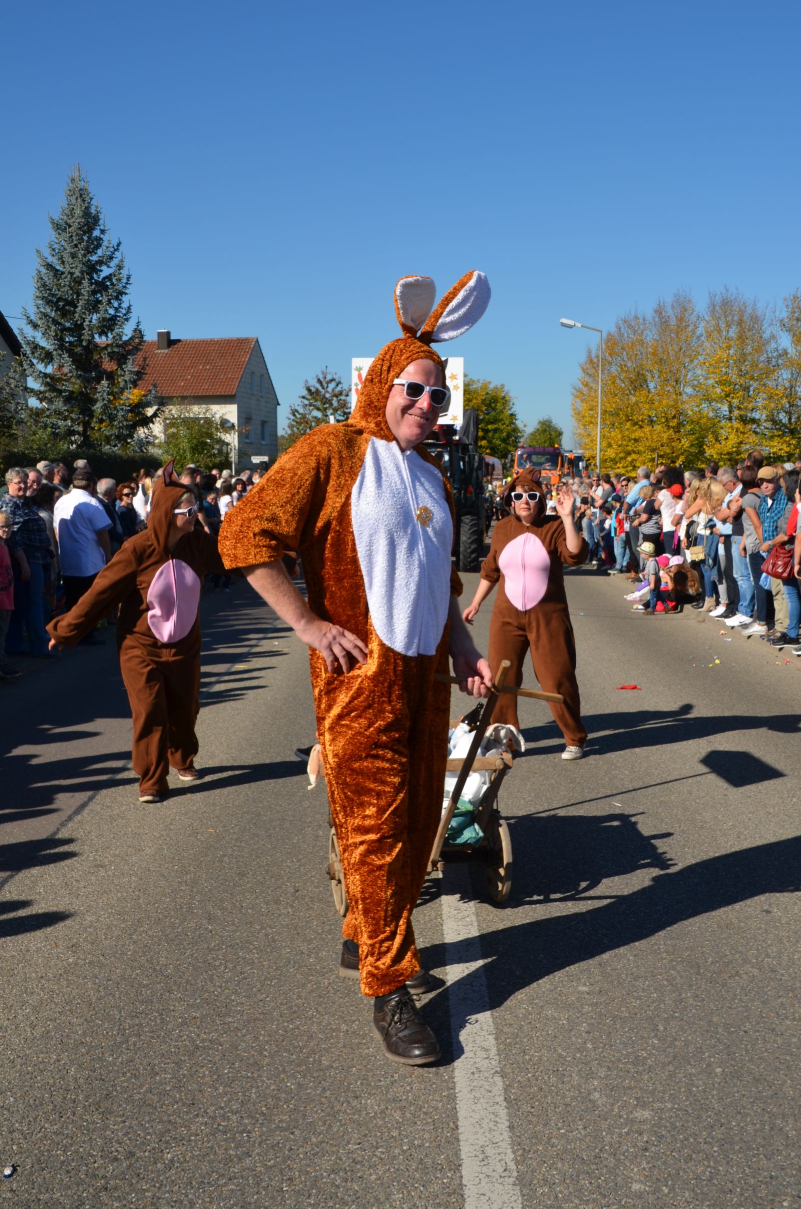 Foto vom Onolzheimer Hammeltanz 2017 – Festzug