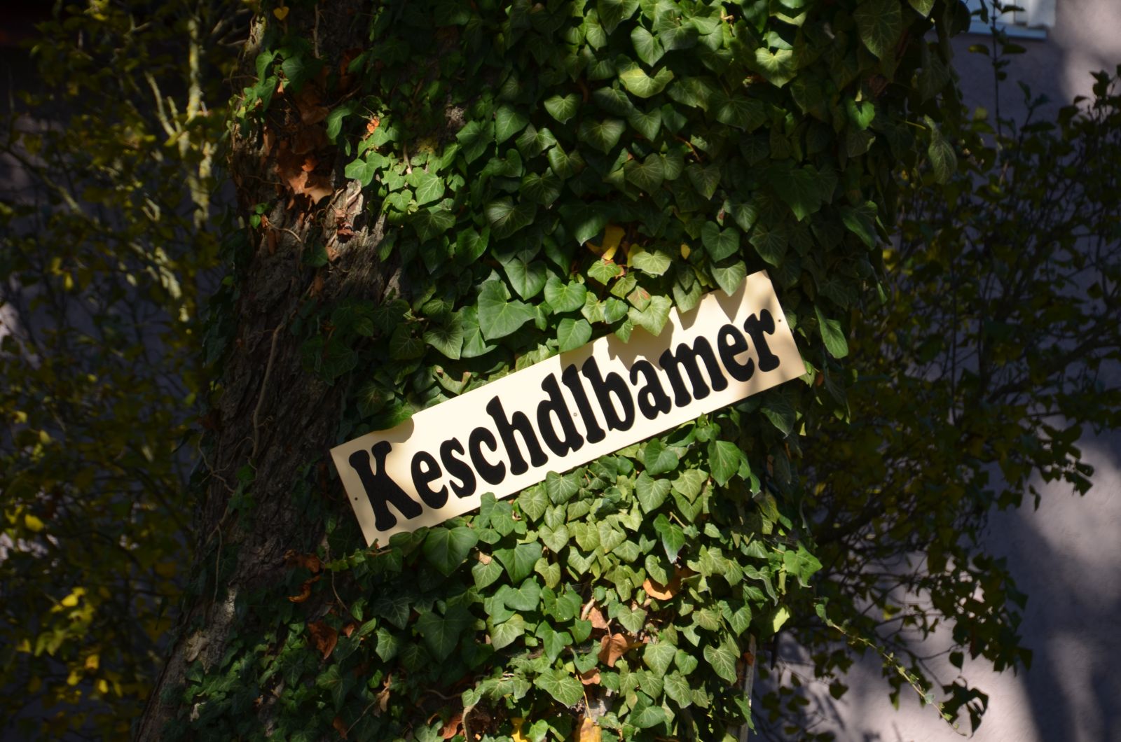 Foto vom Onolzheimer Hammeltanz 2017 – Festzug