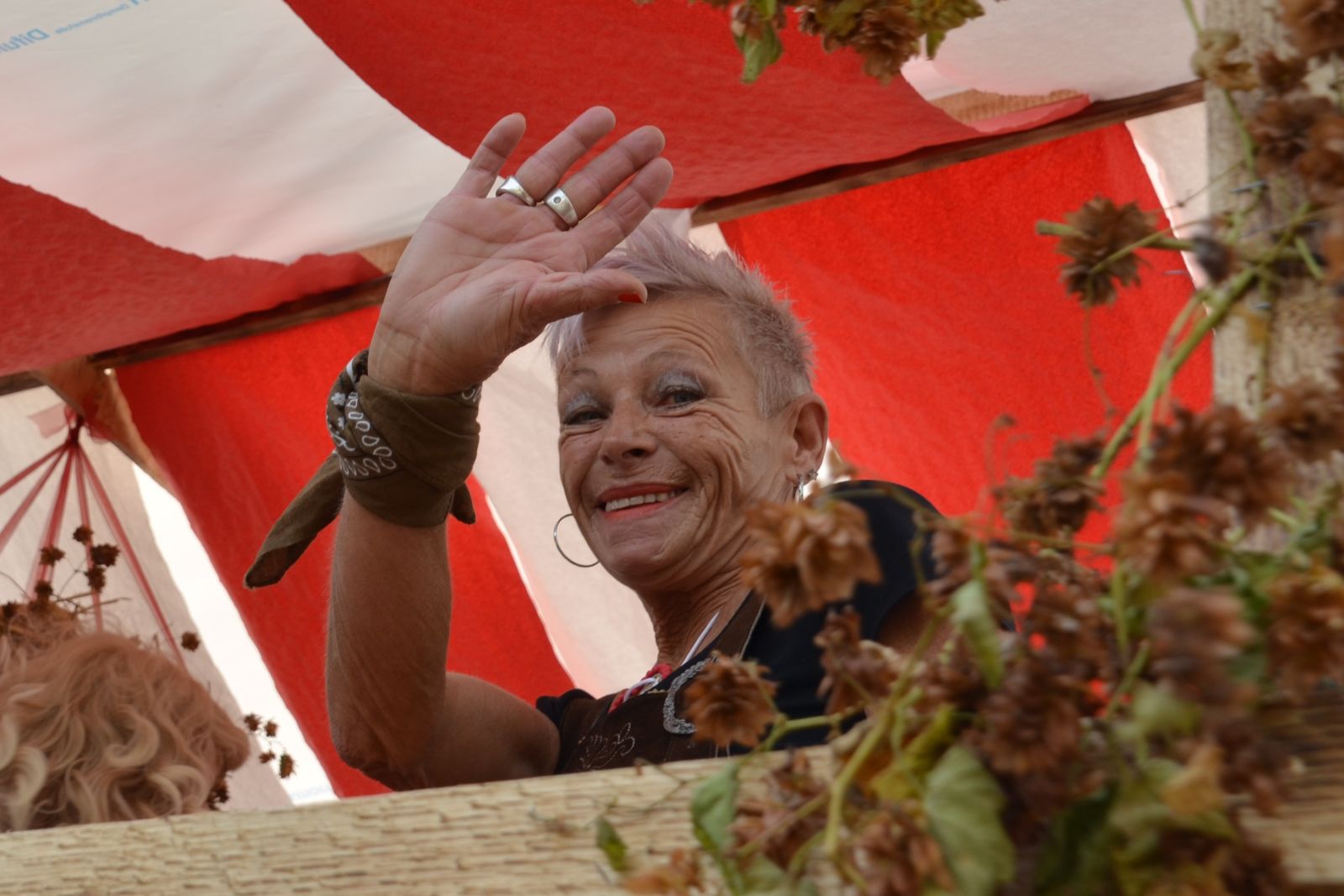 Foto vom Onolzheimer Hammeltanz 2016 – Festzug