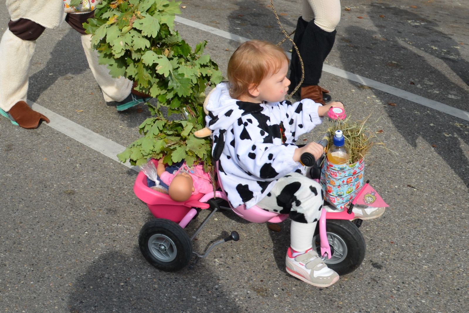 Foto vom Onolzheimer Hammeltanz 2016 – Festzug