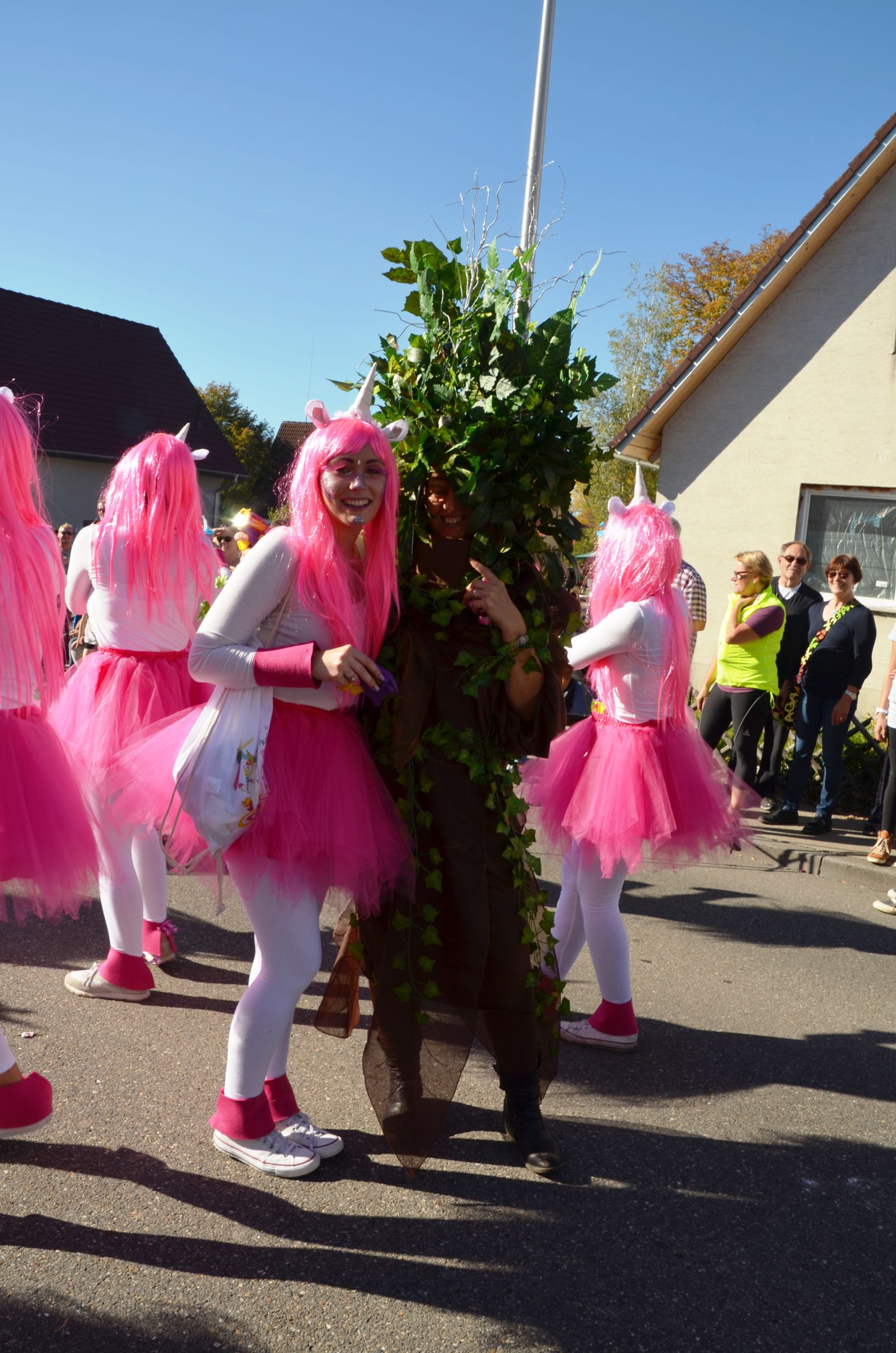 Foto vom Onolzheimer Hammeltanz 2017 – Festzug