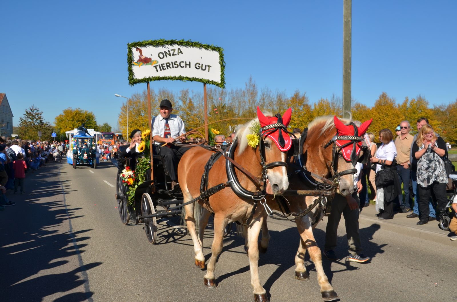 Foto vom Onolzheimer Hammeltanz 2017 – Festzug