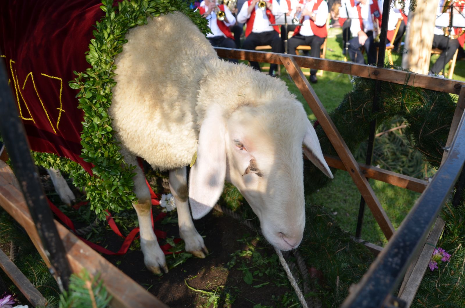 Foto vom Onolzheimer Hammeltanz 2017 – Hammeltanz