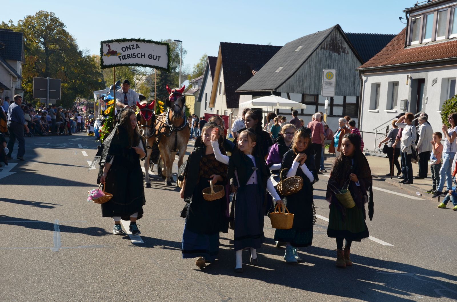 Foto vom Onolzheimer Hammeltanz 2017 – Festzug