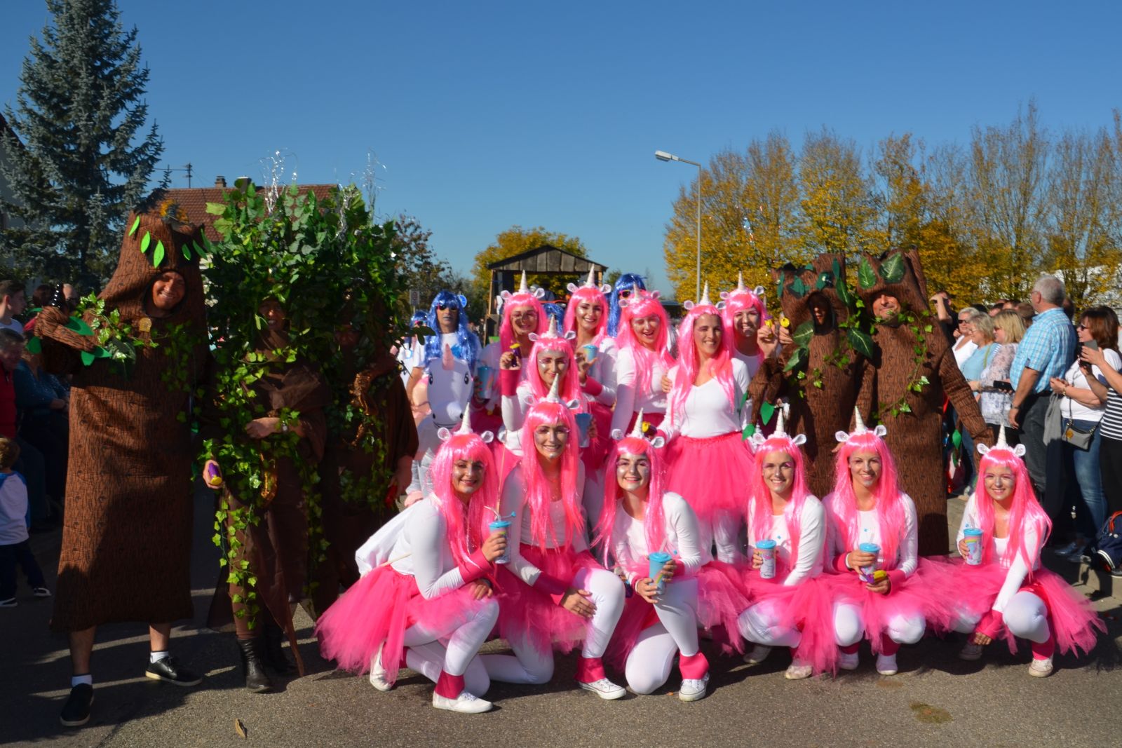 Foto vom Onolzheimer Hammeltanz 2017 – Festzug