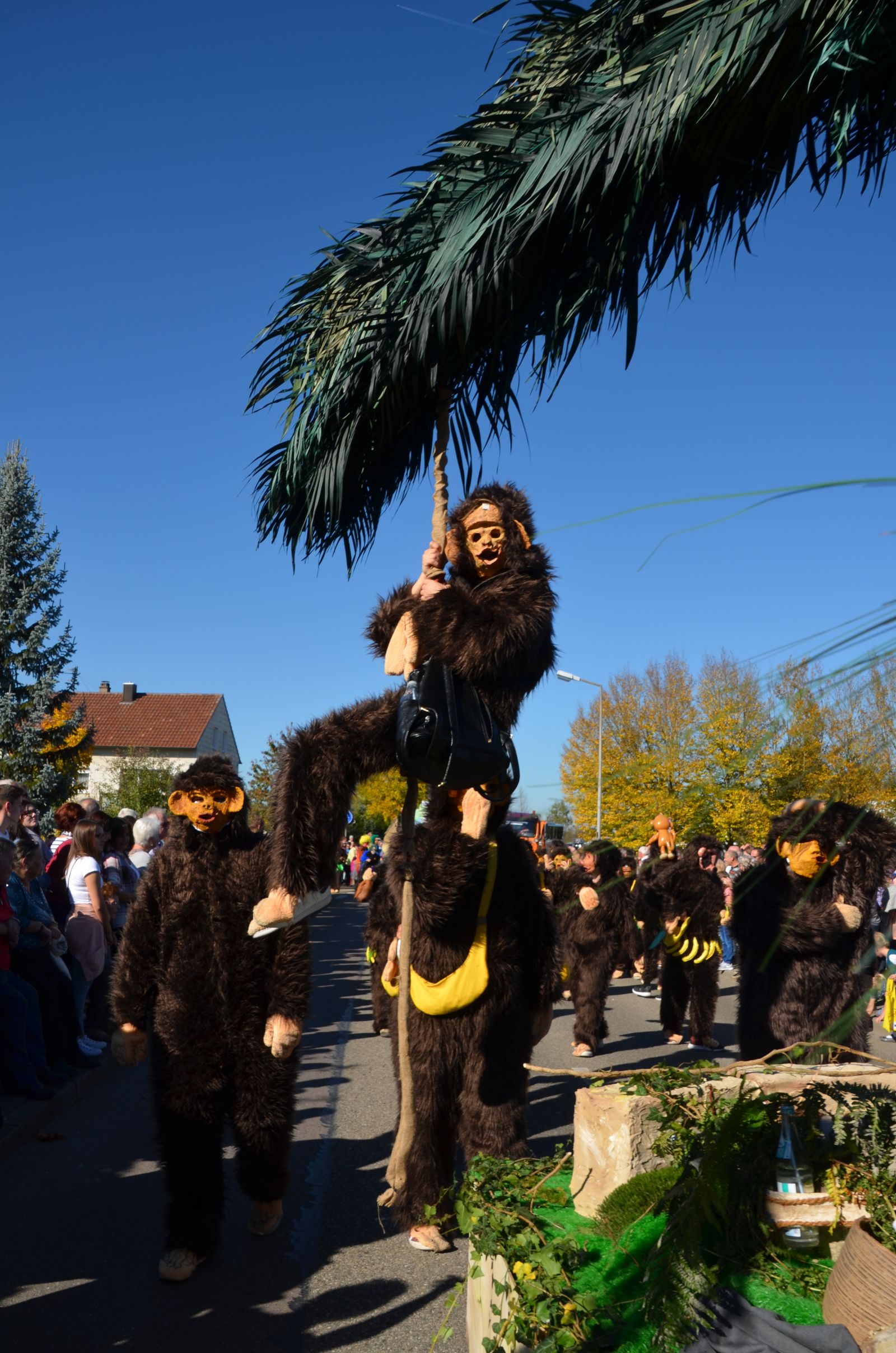 Foto vom Onolzheimer Hammeltanz 2017 – Festzug