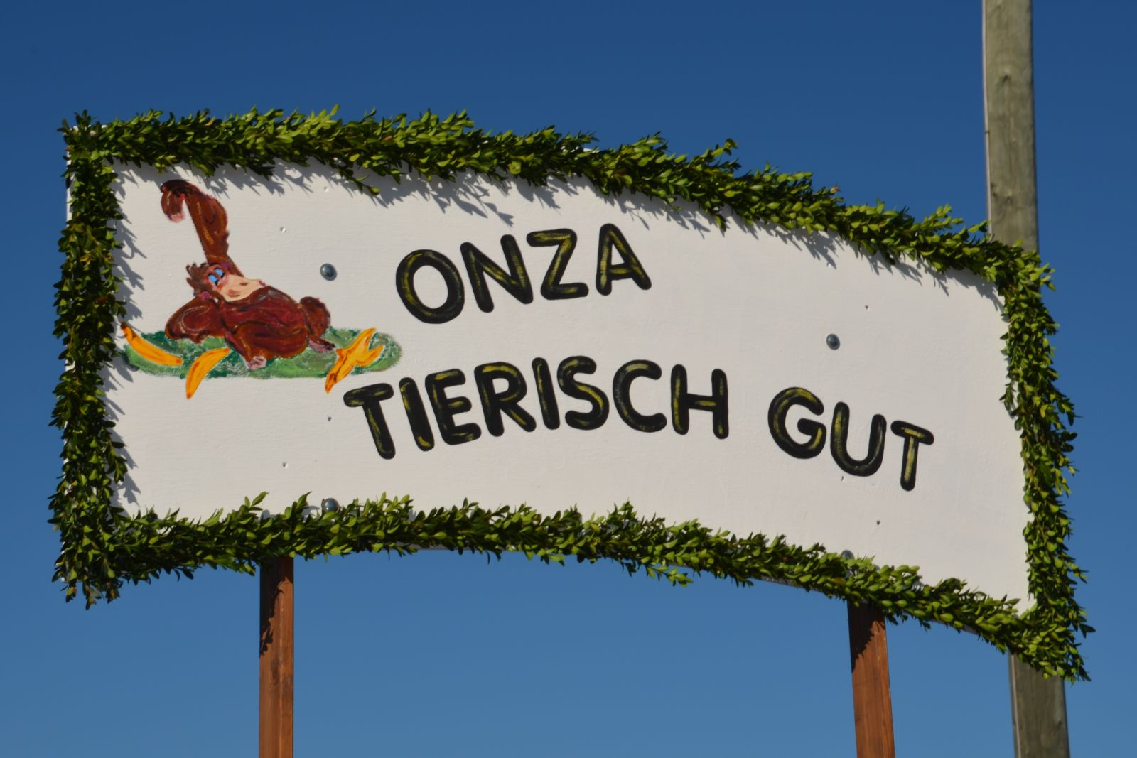 Foto vom Onolzheimer Hammeltanz 2017 – Festzug