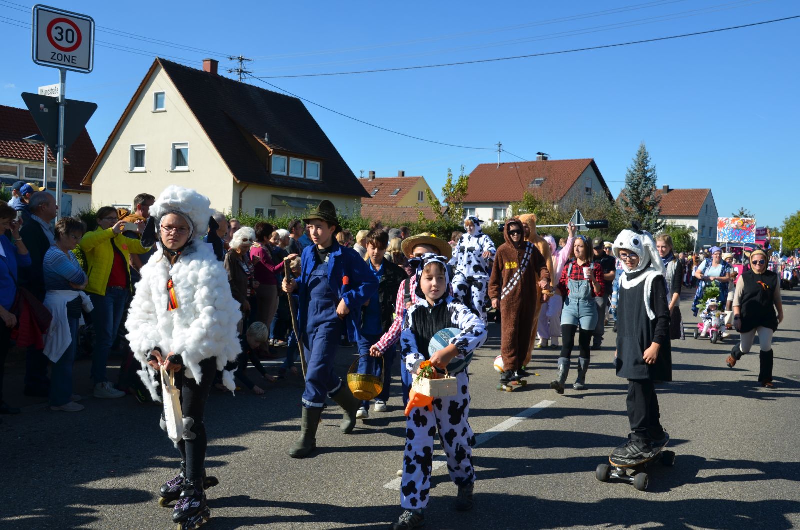 Foto vom Onolzheimer Hammeltanz 2016 – Festzug