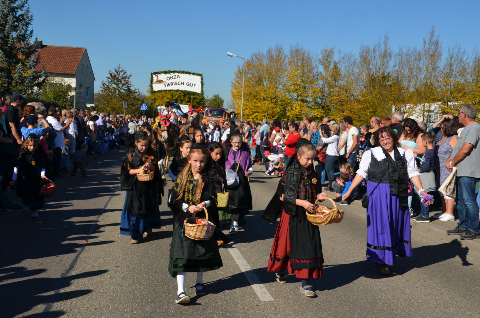 Foto vom Onolzheimer Hammeltanz 2017 – Festzug