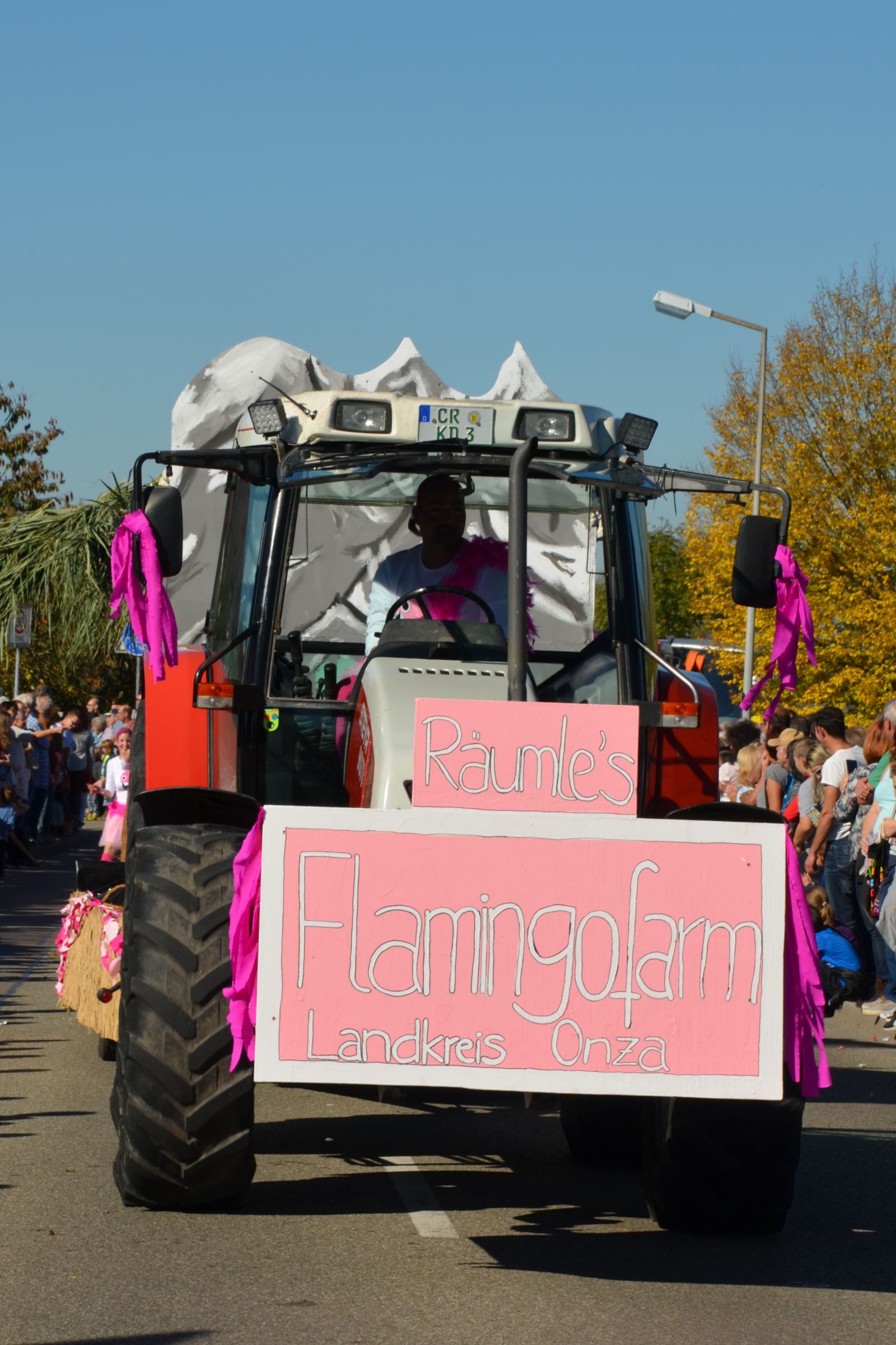 Foto vom Onolzheimer Hammeltanz 2017 – Festzug
