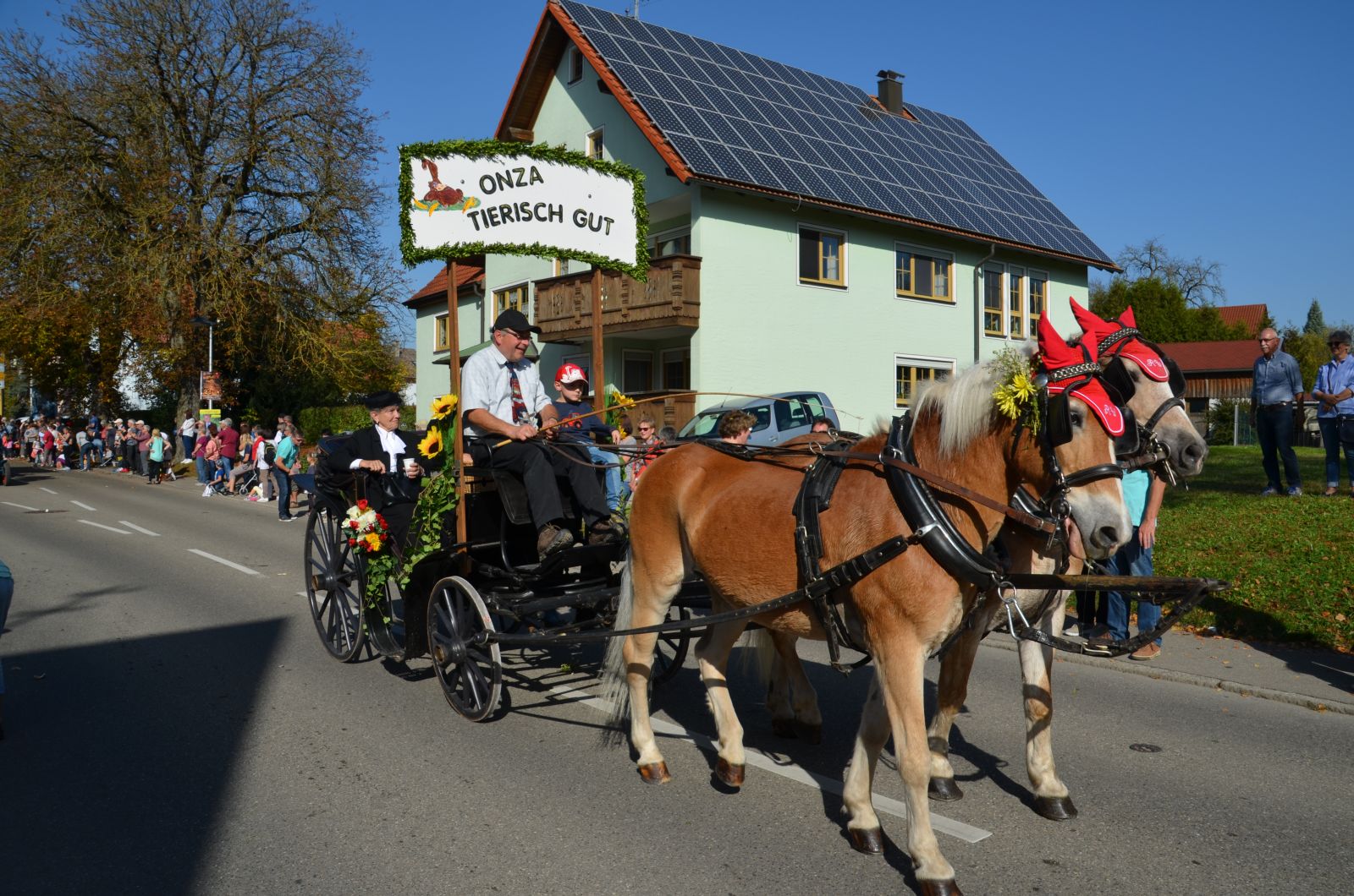 Foto vom Onolzheimer Hammeltanz 2017 – Festzug