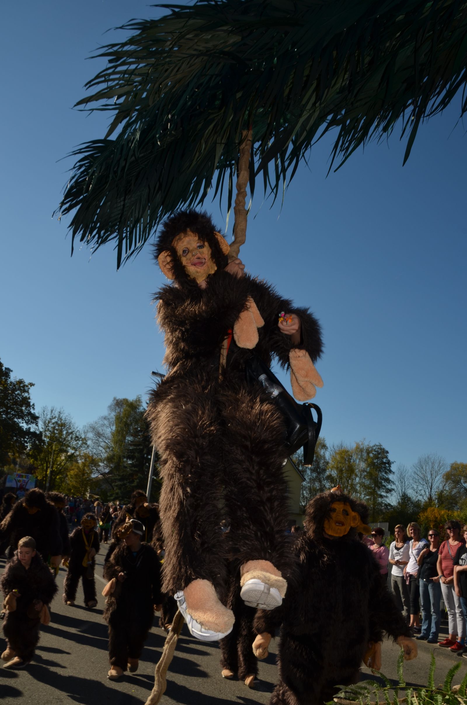 Foto vom Onolzheimer Hammeltanz 2017 – Festzug