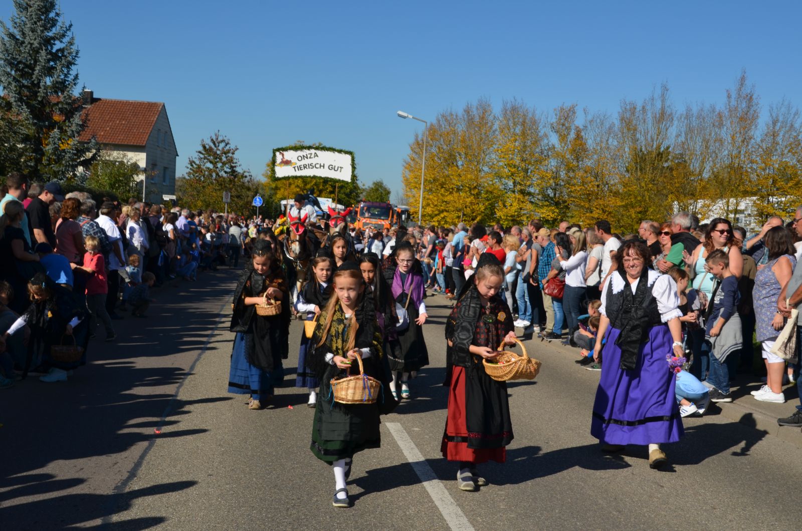 Foto vom Onolzheimer Hammeltanz 2017 – Festzug