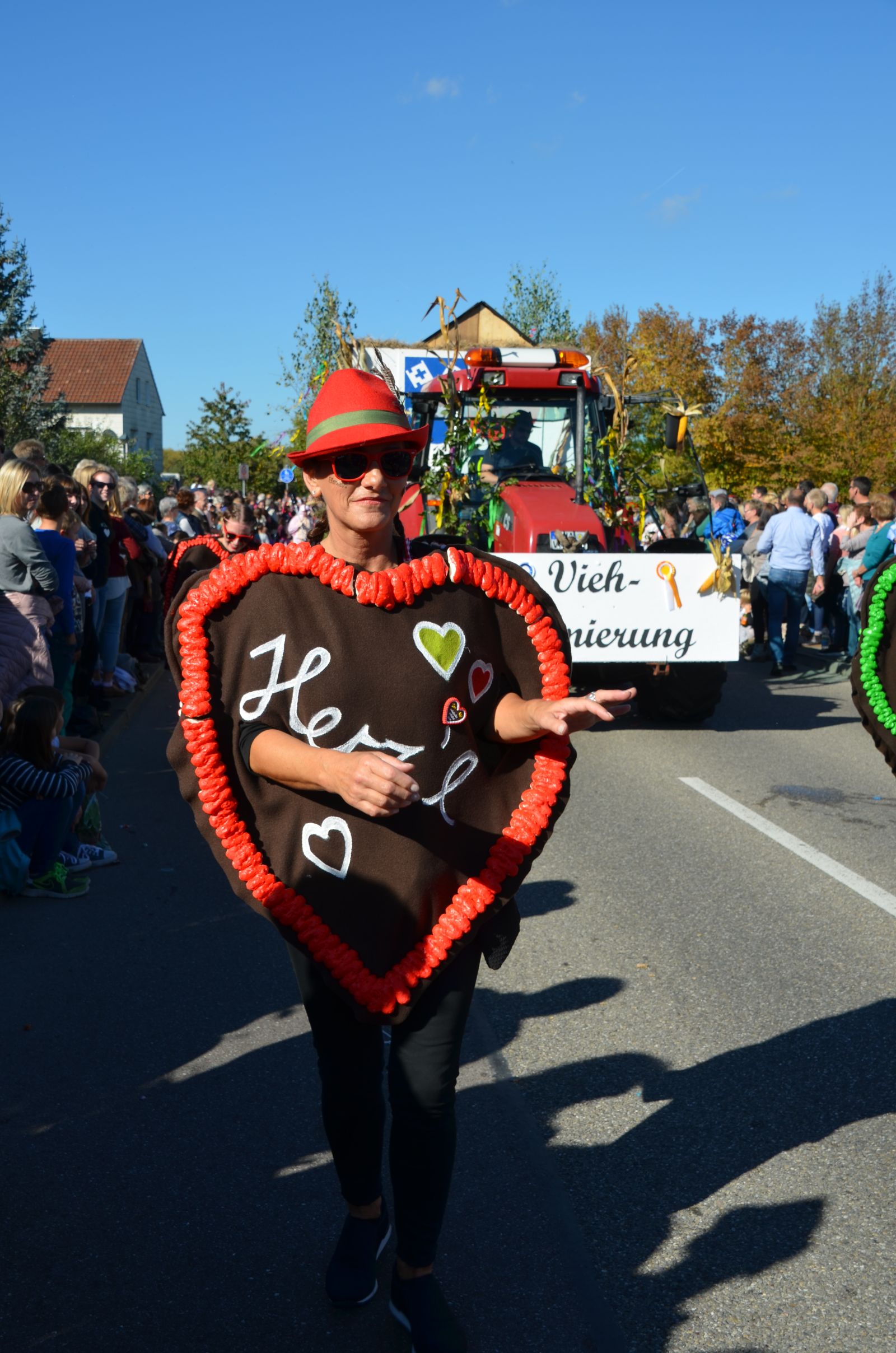 Foto vom Onolzheimer Hammeltanz 2016 – Festzug