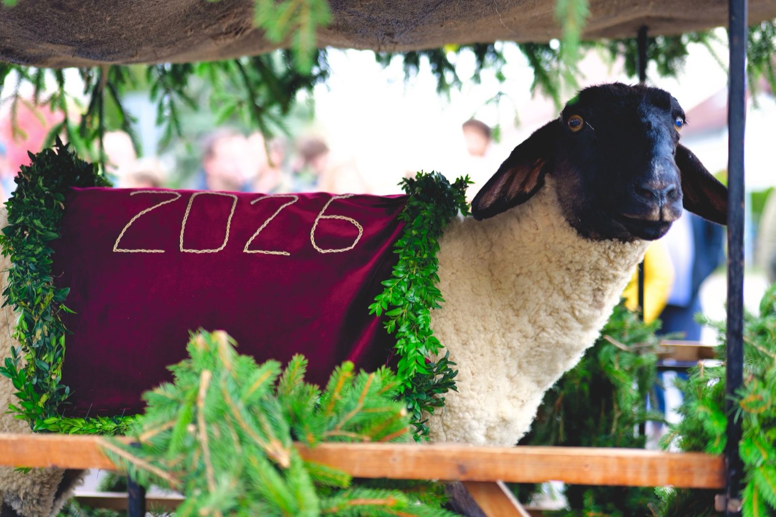 Foto vom Onolzheimer Hammeltanz 2026 – Festzug