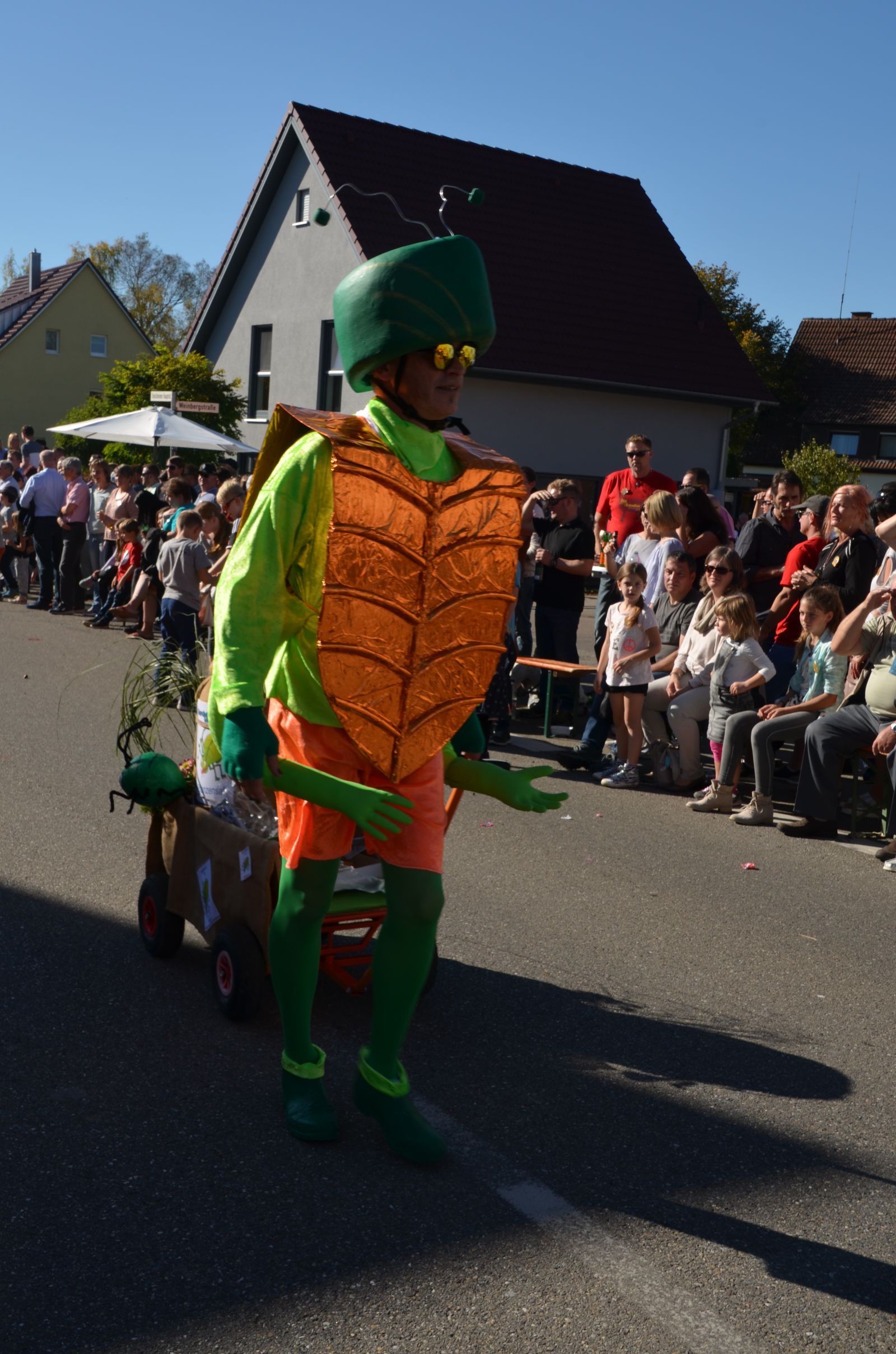Foto vom Onolzheimer Hammeltanz 2017 – Festzug
