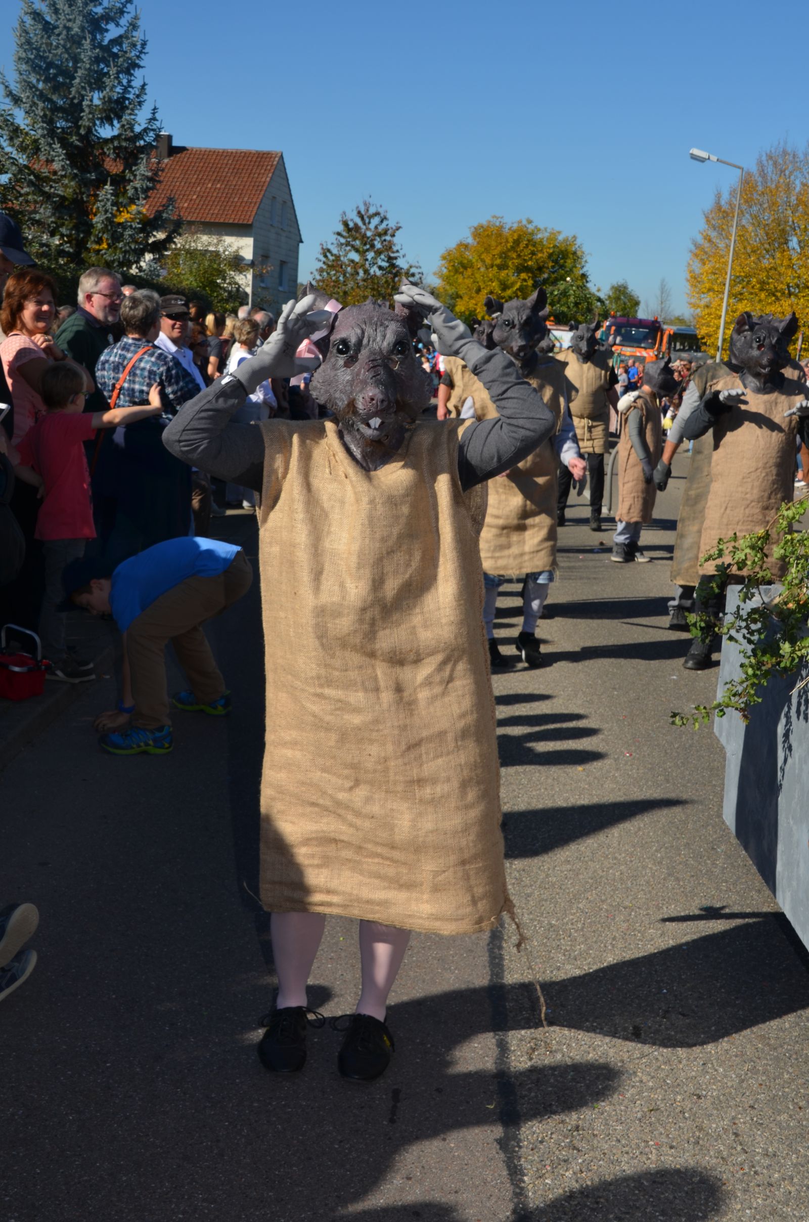 Foto vom Onolzheimer Hammeltanz 2017 – Festzug