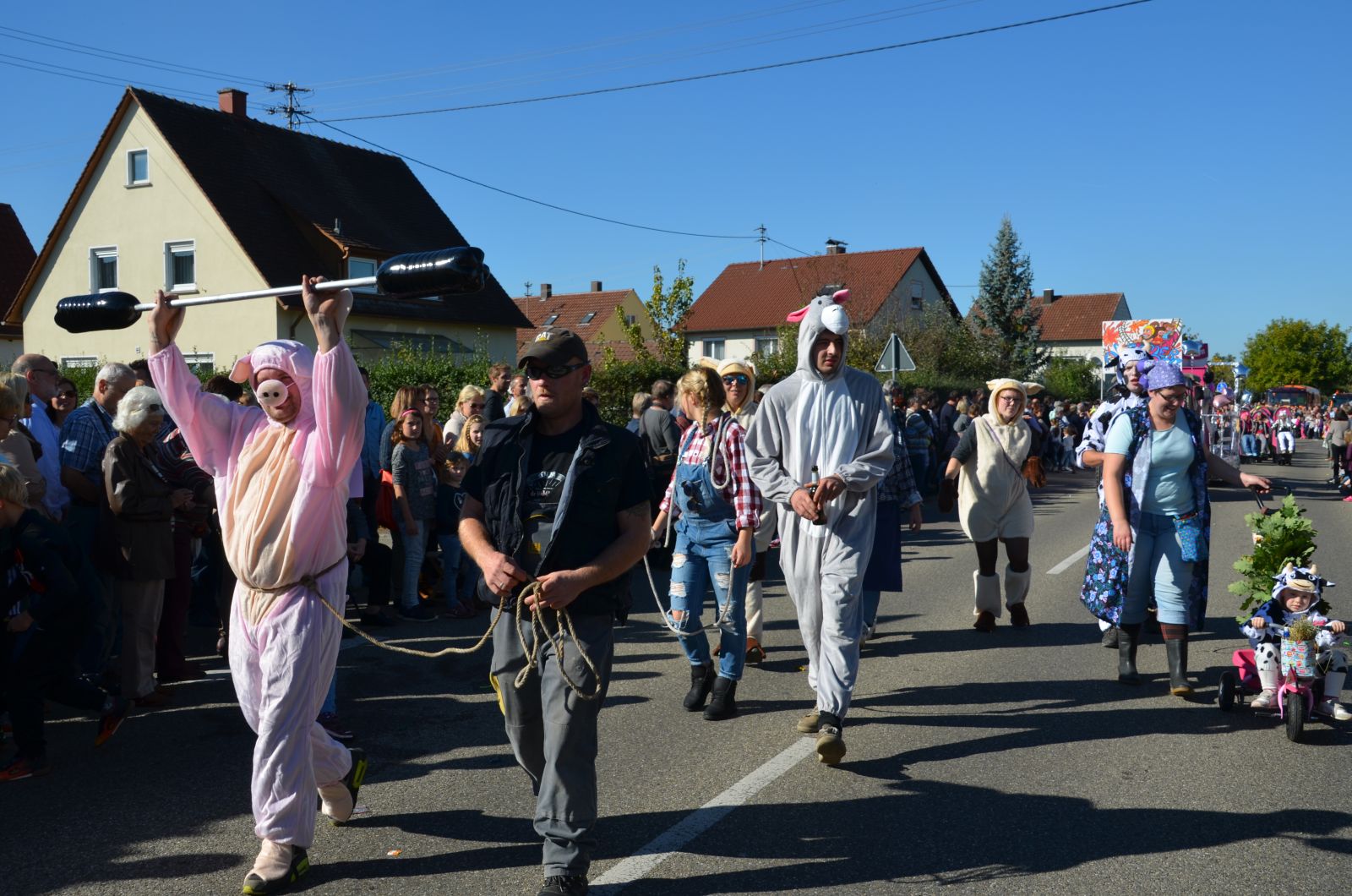 Foto vom Onolzheimer Hammeltanz 2016 – Festzug