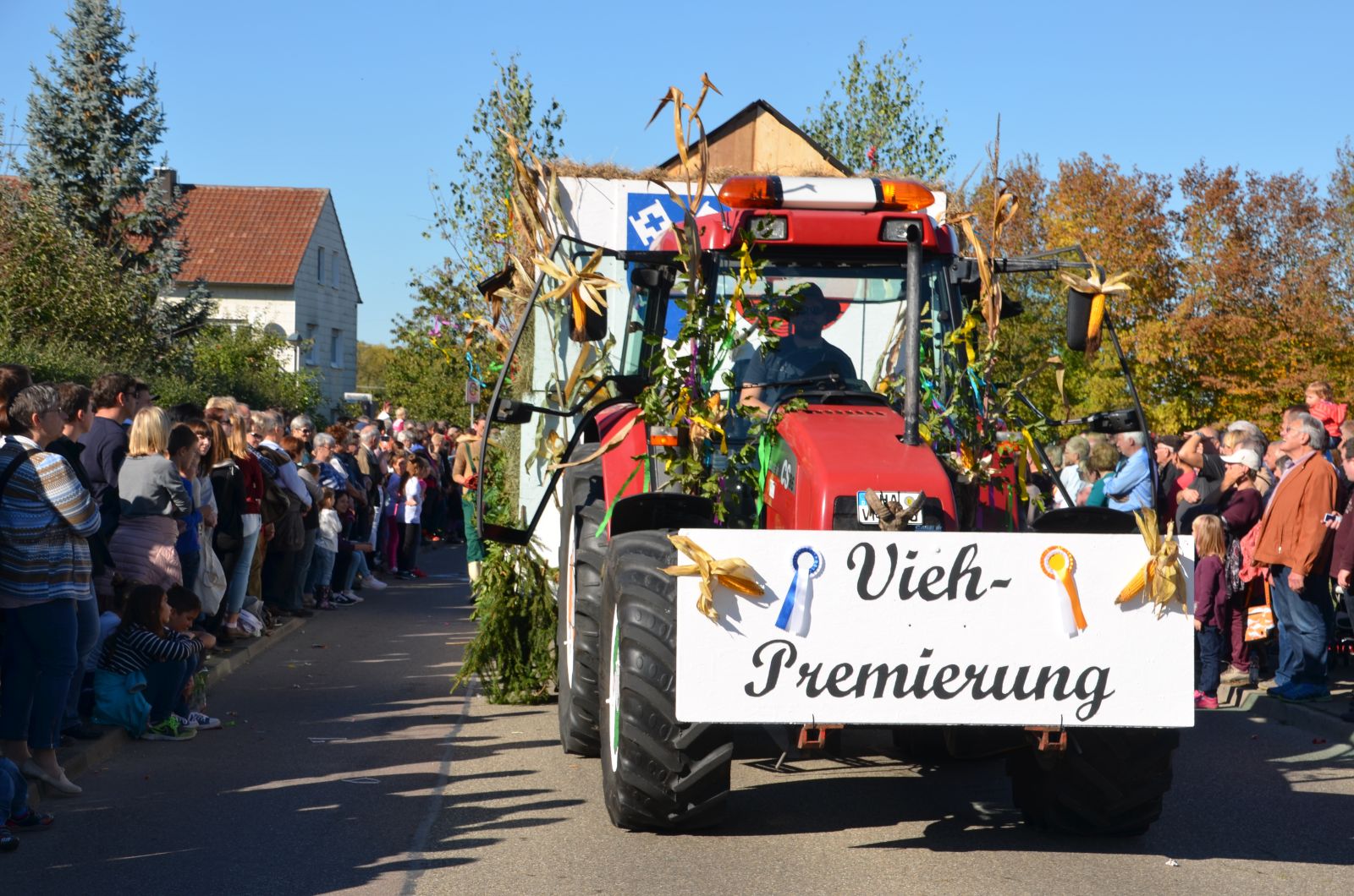 Foto vom Onolzheimer Hammeltanz 2016 – Festzug